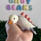 Lovebird ID: 003