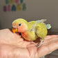 Lovebird ID: 006PSAM