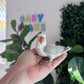 Lovebird ID: 066 (F)