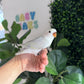 Lovebird ID: 031 (F)