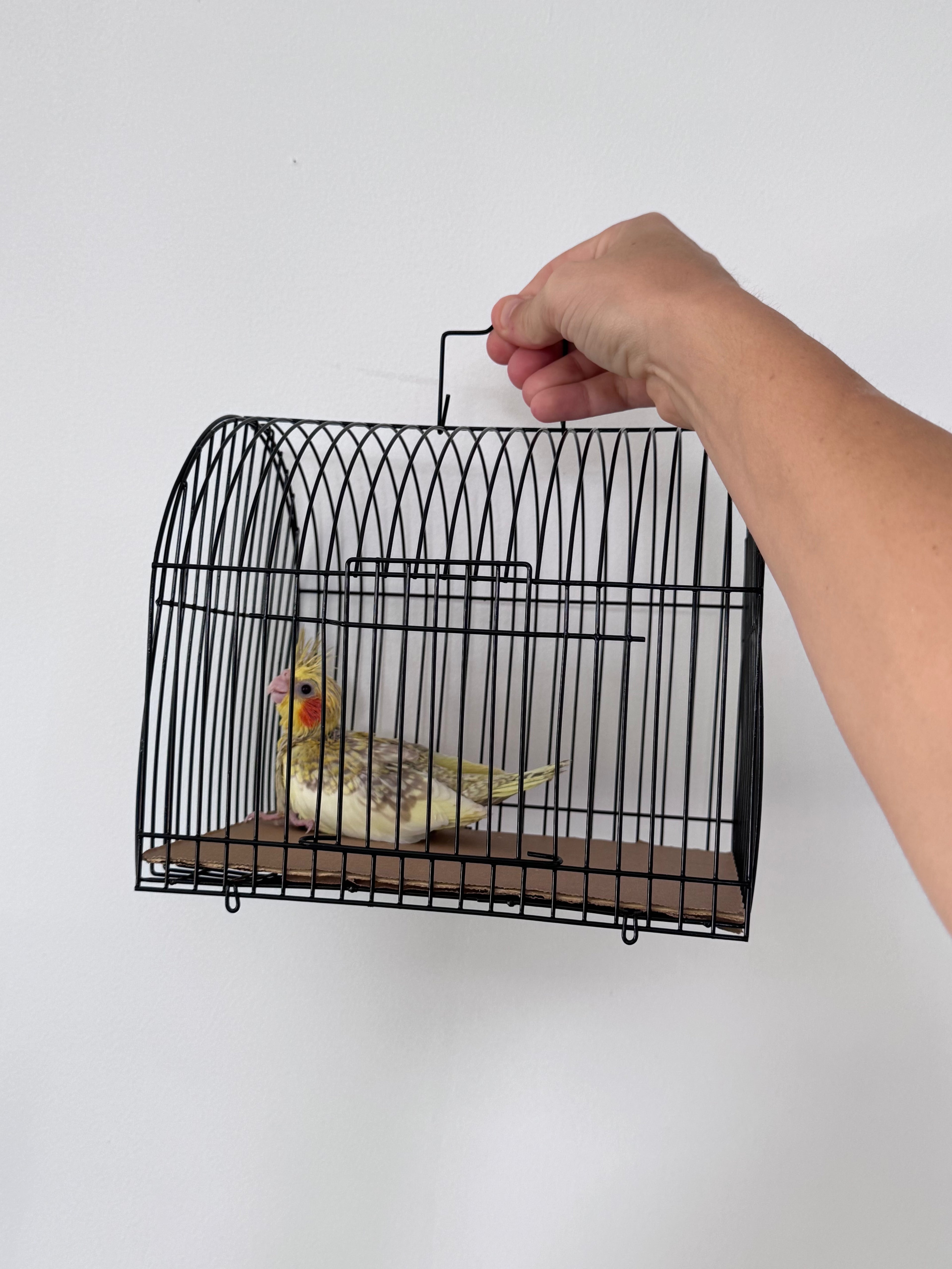 Travel Cage