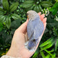Lovebird ID: Green S7363