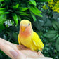 Lovebird ID: Green S7107