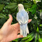 Lovebird ID: Green U1542